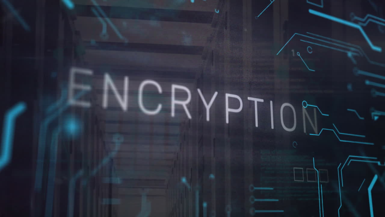 암호화 텍스트의 애니메이션 및 컴퓨터 서버를 통해 디지털 데이터 처리