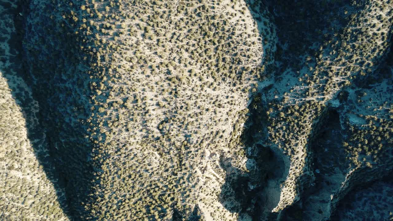 Aerial Top-Down View of Arid Desert Landscape with Sparse Bushes