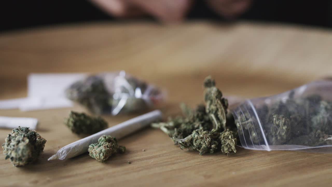 이 모든 걸 어디서 얻었어?