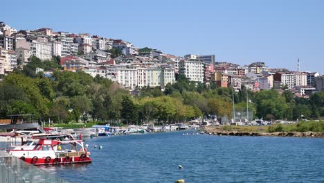 cityscape with marina and boats