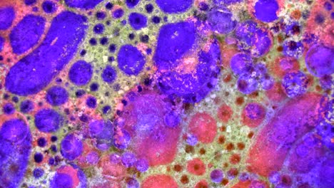 fabulous patterns