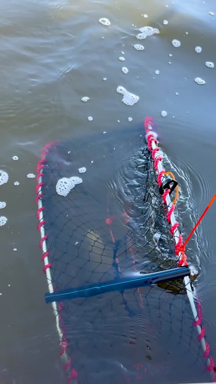 물 에서 크래브 함정 을 끌어 올리는 것