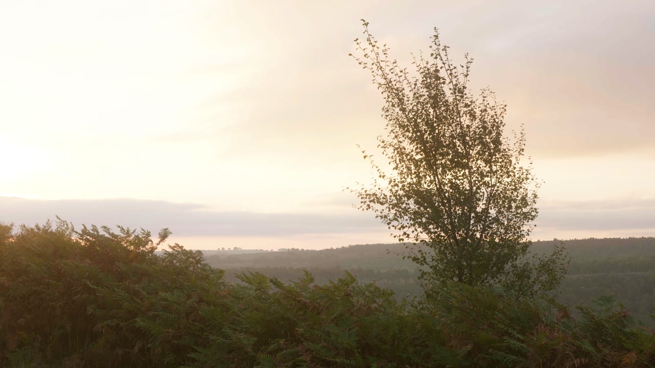 Early morning in the peak district.