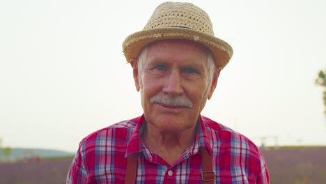 Senior-grandfather-man-farmer-growing-lavender-in-blooming-flowers-field-of-purple-lavender-flowers