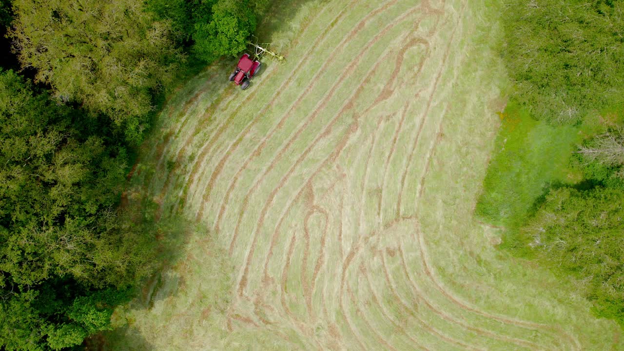 빨간 잔디 ⁇ 이 초록색  ⁇ 을 가로질러 신선한 잔디를 자르고 있습니다.