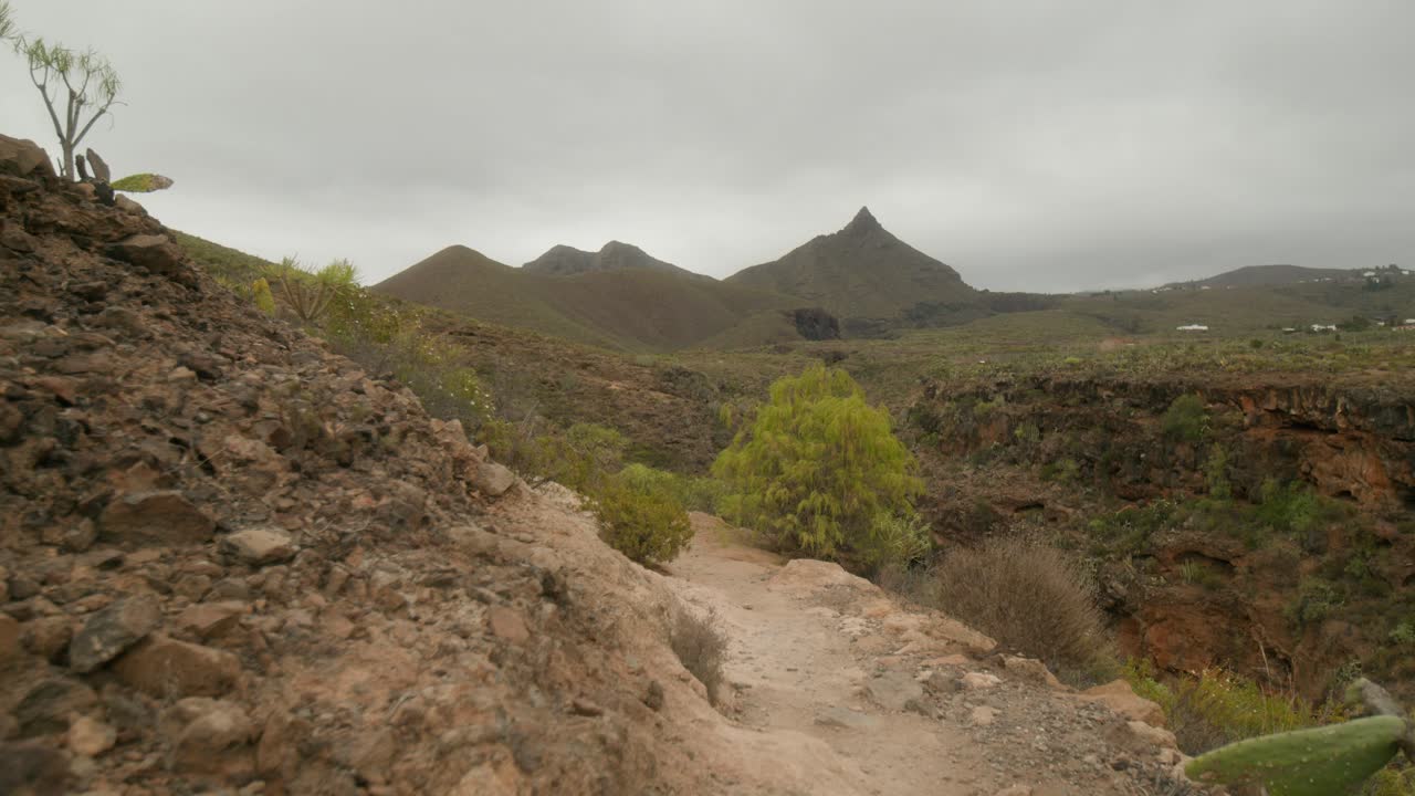 sendero de senderismo en el paisaje volcánico rocoso seco del sur de tenerife en primavera con arbustos verdes, islas canarias, españa