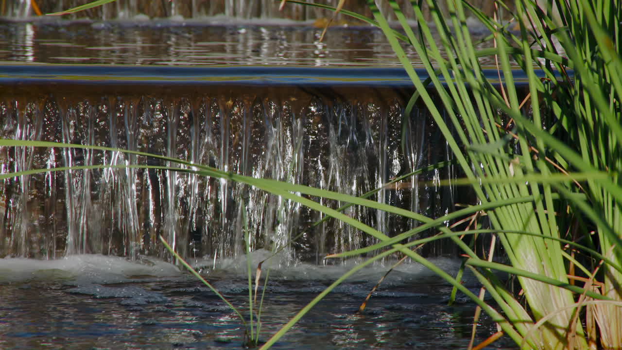 Reeds With Small Waterfall Flowing In The Stream In Summer. - static
