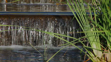 reeds with small waterfall flowing in the stream in summer. - static