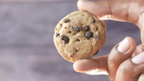 person holding a chocolate chip cookie