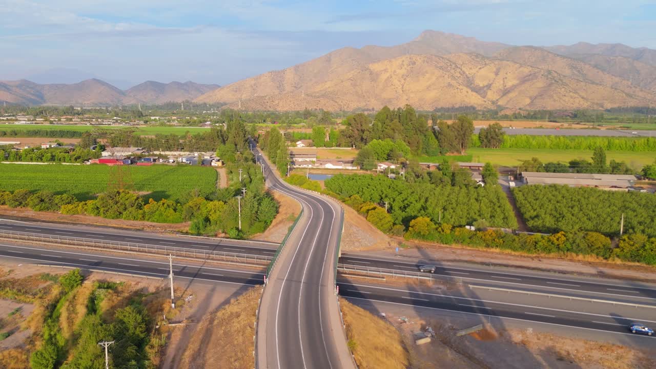 Fields of Sunflowers and Endless Beauty, buin, metropolitan region, Chile