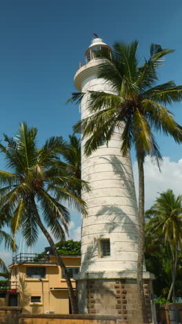 lighthouse in sri lanka with palm trees