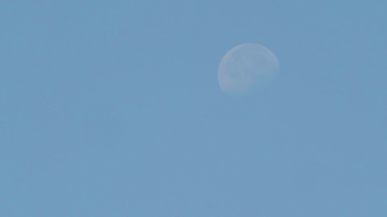 낮에 달을 고, 새가 날고, 장면을 가로지르며