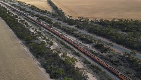 Toma-Aérea-De-Seguimiento-De-Un-Largo-Tren-De-Carga-Industrial-De-Hierro-En-El-Ferrocarril-En-El-Campo-Australiano