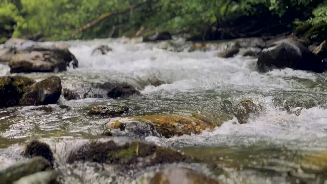 Filmato cinematografico rilassante in 4K del fiume e del suo suono incredibile in una foresta.