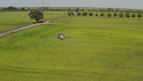 Farmer-spraying-pesticides-on-rice-field-in-South-east-Asia-aerial-reveal-of-rice-paddies