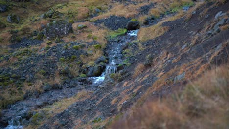 Kleiner-Bach,-Der-Zwischen-Der-Landschaft-Aus-Land-Und-Vegetation-Fließt