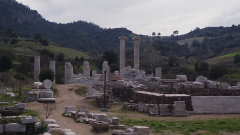 wide shot of the temple of artemis with mountains in sardis