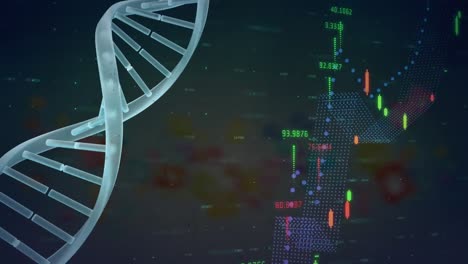 Animación-De-La-Cadena-De-ADN-Sobre-Interfaz-Digital-Y-Procesamiento-De-Datos.