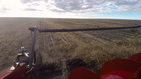 Sensational-POV-perspective-of-farming-combine-harvester-rotating-wheel-picking-up-tan-canola-swath-in-flat-expansive-farmland-in-countryside-on-sunny-blue-sky-day,-Saskatchewan,-Canada,-close-up