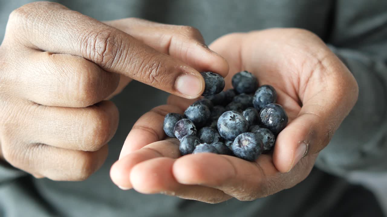 손에 블루베리