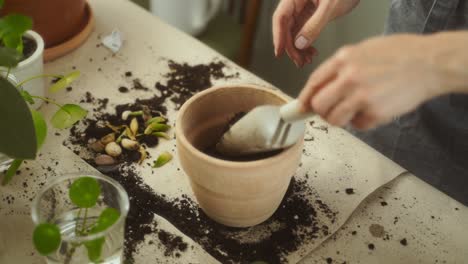 Mujer-De-Cultivo-Preparándose-Para-Trasplantar-Plantas