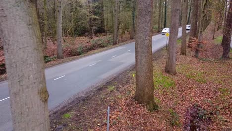 side view of a road in the forest, cars driving through frame