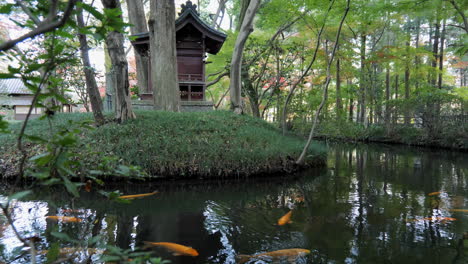 a koi fish pond in a japanese temple in tokyo, every detail of the landscape is designed to guarantee an internal state of contemplation and peace