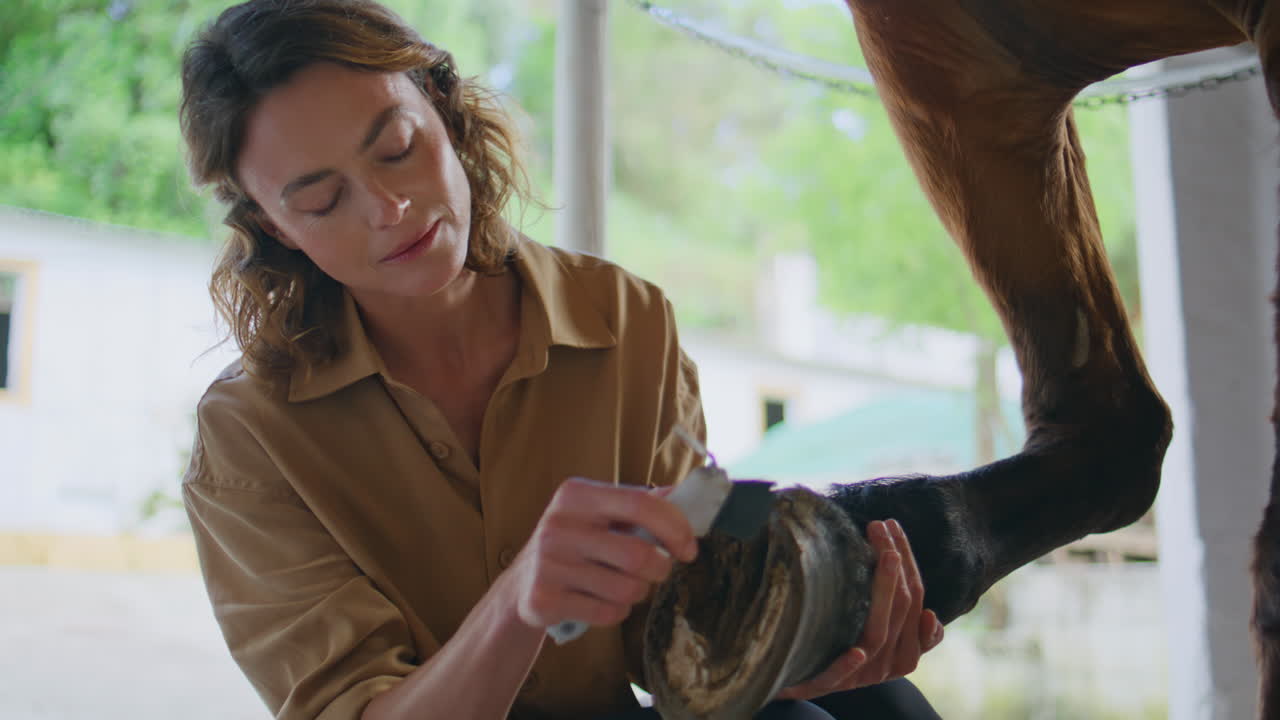 Gentle woman scraping hoofs at paddock closeup. Caring horsewoman cleaning horse