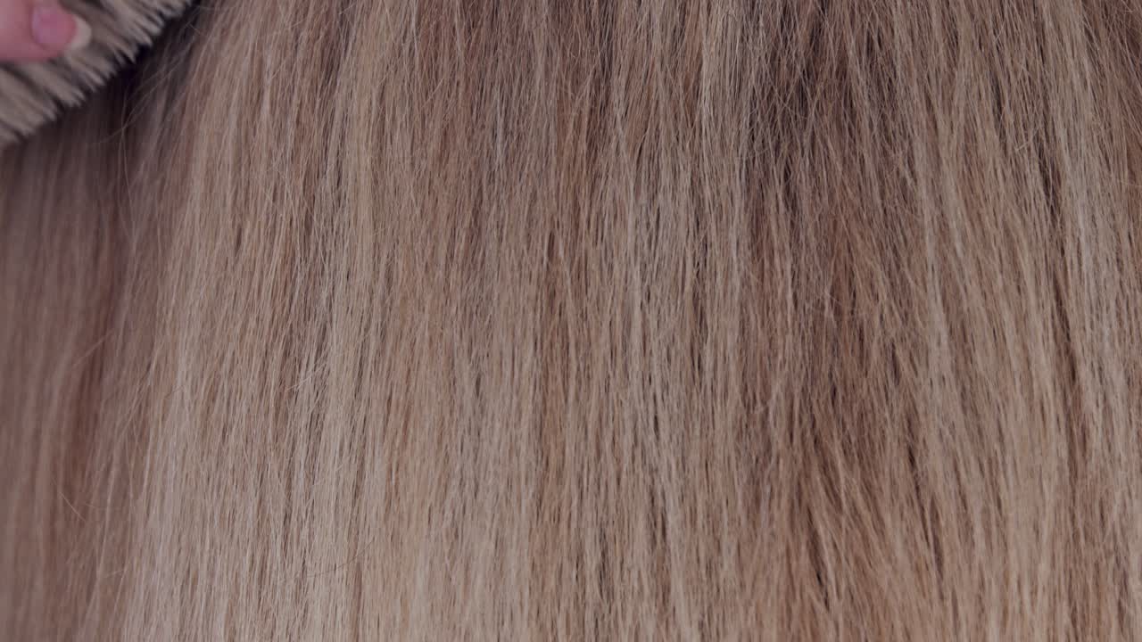 그녀의 금발 머리를 솔 질 하는 여자의 매크로 촬영