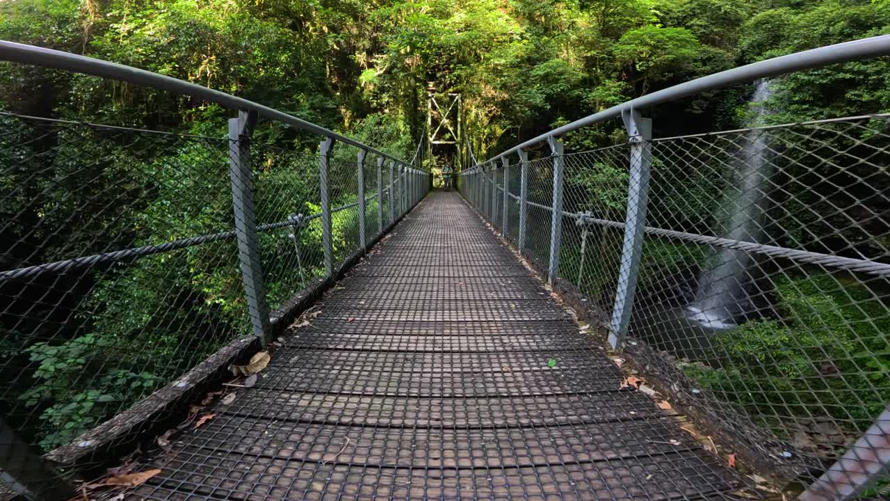 A man walks across a suspension bridge in Dorrigo's lush rainforest, captured in slow motion with vibrant natural lighting