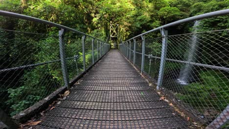 a man walks across a suspension bridge in dorrigo's lush rainforest, captured in slow motion with vibrant natural lighting