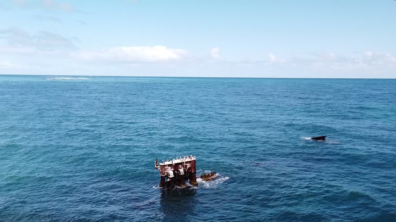 Orbit view of seabirds sitting on top of part of a shipwreck, Perth Australia
