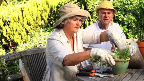 Abuelos-Sentados-En-El-Jardín-Plantas-En-Macetas