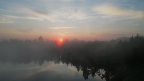 aerial rises as golden sun beams poke through foggy lakeshore trees