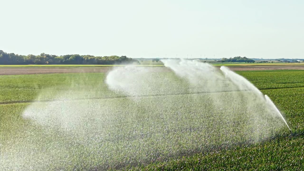 Irrigatori innaffiano un grande campo verde in una giornata di sole in campagna durante le ore del tardo pomeriggio