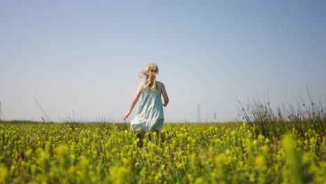 Seguimiento-Lento-En-ángulo-Bajo-De-Una-Chica-Vestida-De-Verano-Corriendo-En-Un-Campo-De-Flores-Amarillas