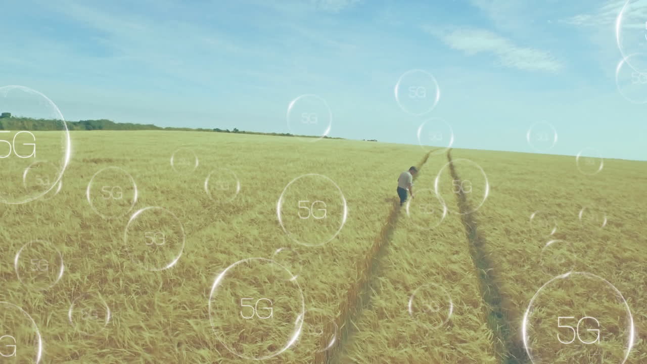 Walking through wheat field, child with animation of 5G network symbols