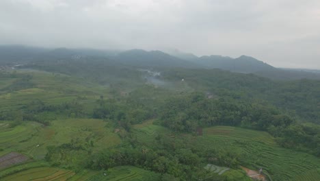 Aerial-view-of-green-plantation-of-rice-field-on-the-countryside-of-Indonesia