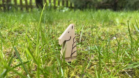 Chess-piece-carved-on-a-green-lawn