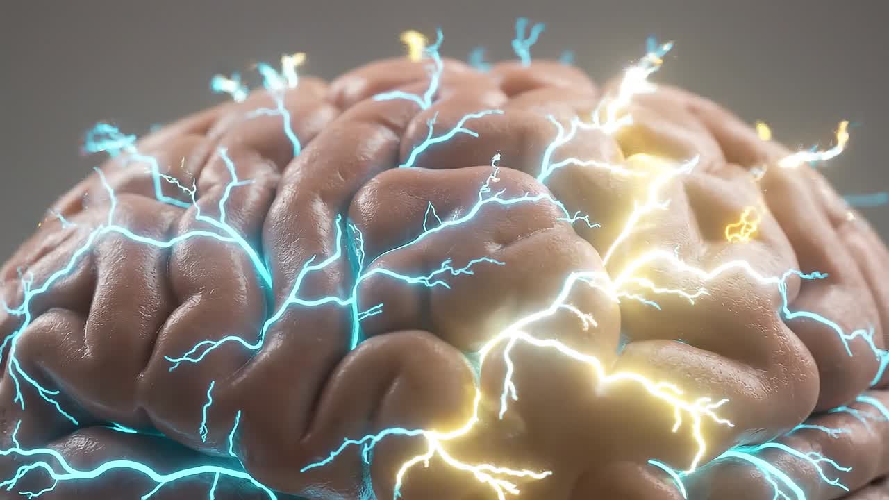 Close up detailed view of human brain surface showing realistic folds texture and organic structure in high resolution