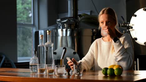 female worker using mobile phone in distillery factory 4k