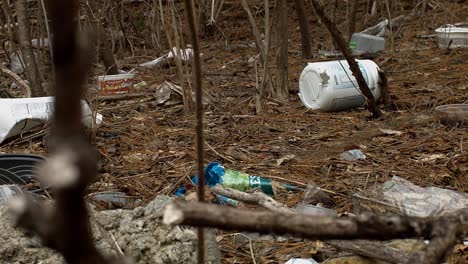 Deslícese-A-Través-De-Los-árboles-Del-Bosque-Con-Basura-Y-Basura-En-El-Suelo-Del-Bosque