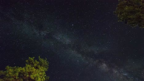 Milky-way-timelapse-with-planes-or-shooting-stars-and-trees-in-the-frame