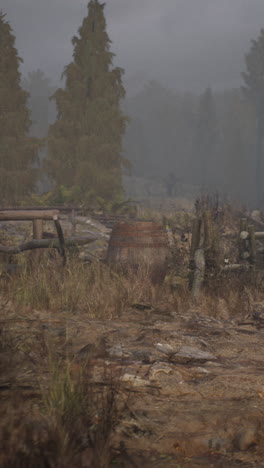 foggy forest path with old wooden barrel