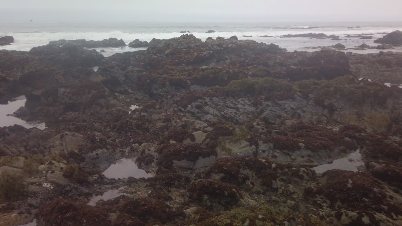 Gimbal wide panning shot of tidepools among the rocky shoreline in Cambria, California