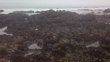 Gimbal-wide-panning-shot-of-tidepools-among-the-rocky-shoreline-in-Cambria,-California