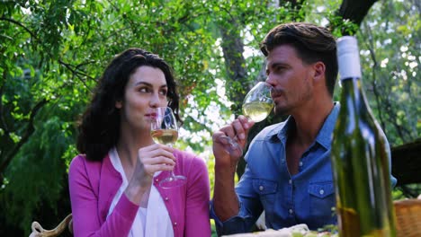 Happy-couple-having-white-wine-in-park