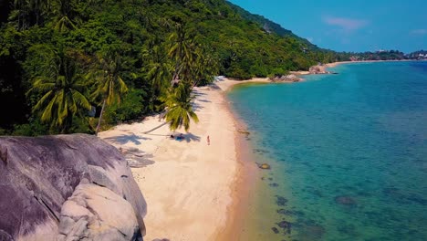 tropical sand beach with palm trees in sunset, sunrise, aerial dolly shot flying through the trunks, wild pristine beach in hawaii