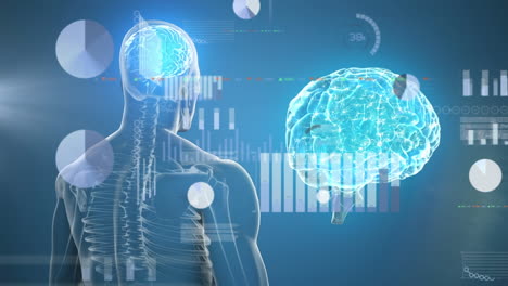 animación del procesamiento de datos financieros sobre el cuerpo humano y el globo.