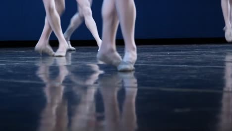 details of male and female classical ballet dancers